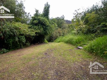 VENTA DE CASA  A UNOS PASOS DEL CENTRO DE MINERAL DEL CHICO