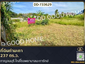 Land at Tha Maka 237 sq w. Kanchanaburi, near Makarak Hospital