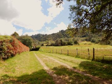 En Terreno plano con Hermosos Jardines y Zonas Verdes