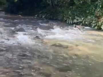 VENTA FINCA EN SAN CARLOS ANTIOQUIA