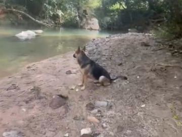 VENTA FINCA EN SAN CARLOS ANTIOQUIA