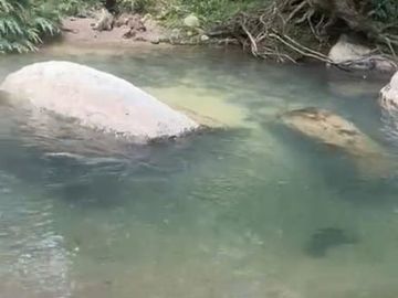 VENTA FINCA EN SAN CARLOS ANTIOQUIA