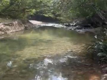 VENTA FINCA EN SAN CARLOS ANTIOQUIA