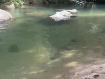 VENTA FINCA EN SAN CARLOS ANTIOQUIA