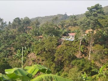 FINCA EN VENTA SAN JUAN DE RIOSECO CUNDINAMARCA