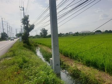87295 - ขายที่ดิน 29 ไร่1 งาน 32 ตรว. พุทธมณฑล จ.นครปฐม