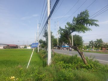 87295 - ขายที่ดิน 29 ไร่1 งาน 32 ตรว. พุทธมณฑล จ.นครปฐม