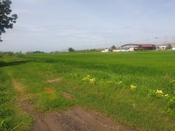 87295 - ขายที่ดิน 29 ไร่1 งาน 32 ตรว. พุทธมณฑล จ.นครปฐม