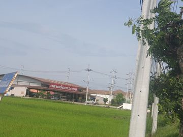 87295 - ขายที่ดิน 29 ไร่1 งาน 32 ตรว. พุทธมณฑล จ.นครปฐม