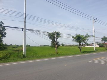 87295 - ขายที่ดิน 29 ไร่1 งาน 32 ตรว. พุทธมณฑล จ.นครปฐม