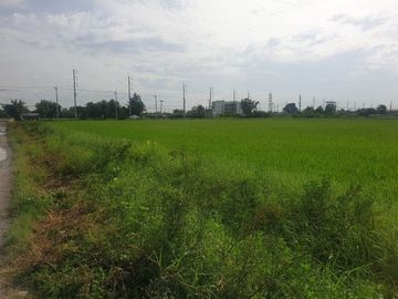 87295 - ขายที่ดิน 29 ไร่1 งาน 32 ตรว. พุทธมณฑล จ.นครปฐม
