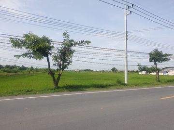 87295 - ขายที่ดิน 29 ไร่1 งาน 32 ตรว. พุทธมณฑล จ.นครปฐม