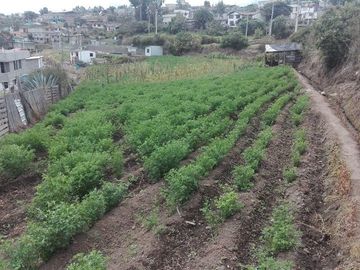 SE VENDE LOTE DE TERRENO  2.600 M2. YARUQUI - PICHINCHA - ECUADOR