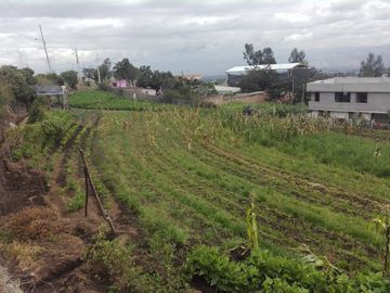 SE VENDE LOTE DE TERRENO  2.600 M2. YARUQUI - PICHINCHA - ECUADOR
