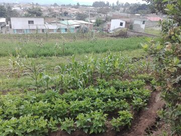 SE VENDE LOTE DE TERRENO  2.600 M2. YARUQUI - PICHINCHA - ECUADOR