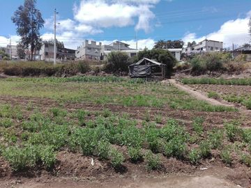 SE VENDE LOTE DE TERRENO  2.600 M2. YARUQUI - PICHINCHA - ECUADOR