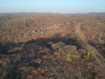 SE VENDE DE OPORTUNIDAD FINCA PARA INDUSTRIA O AGRÍCOLA, 199 HAS. JARAMIJO - MANABI - ECUADOR