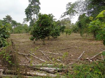 SE VENDE HERMOSA FINCA AGRÍCOLA 20 HAS. EL SILENCIO – LA UNIÓN – QUININDÉ – ESMERALDAS - ECUADOR
