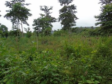 SE VENDE HERMOSA FINCA AGRÍCOLA 20 HAS. EL SILENCIO – LA UNIÓN – QUININDÉ – ESMERALDAS - ECUADOR