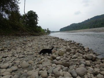 SE VENDE HERMOSA FINCA AGRÍCOLA 20 HAS. EL SILENCIO – LA UNIÓN – QUININDÉ – ESMERALDAS - ECUADOR