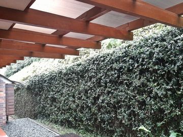 VENTA DE CASA DE 265 m2 EN EL SECTOR DE PALERMO-SANCANCIO, MANIZALES CALDAS