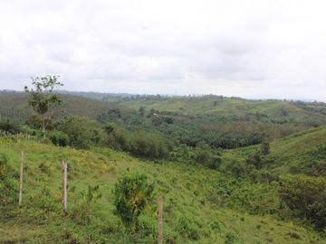SE VENDE FINCA AGRÍCOLA DE 104 HAS.  MOMPICHE - MUISNE - ESMERALDAS - ECUADOR