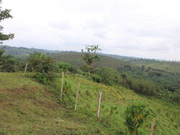 SE VENDE FINCA AGRÍCOLA DE 104 HAS.  MOMPICHE - MUISNE - ESMERALDAS - ECUADOR