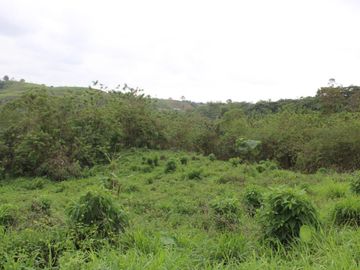 SE VENDE FINCA AGRÍCOLA DE 104 HAS.  MOMPICHE - MUISNE - ESMERALDAS - ECUADOR