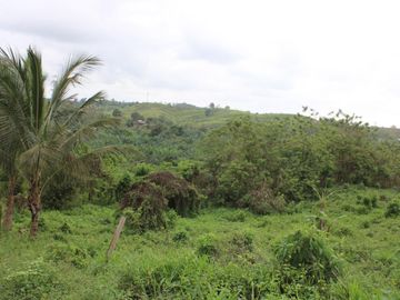 SE VENDE FINCA AGRÍCOLA DE 104 HAS.  MOMPICHE - MUISNE - ESMERALDAS - ECUADOR