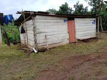 SE VENDE FINCA AGRICOLA EN PRODUCCIÓN 48 HAS.  ESMERALDITA - LA UNIÓN - QUININDÉ - ESMERALDAS - ECUADOR