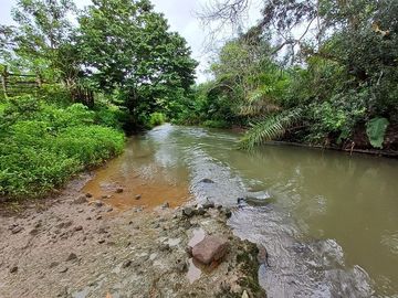 SE VENDE FINCA AGRICOLA EN PRODUCCIÓN 48 HAS.  ESMERALDITA - LA UNIÓN - QUININDÉ - ESMERALDAS - ECUADOR
