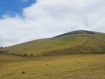 SE VENDE DE OPORTUNIDAD HERMOSA HACIENDA AGRICOLA 678 HAS. LATACUNGA – COTOPAXI – ECUADOR