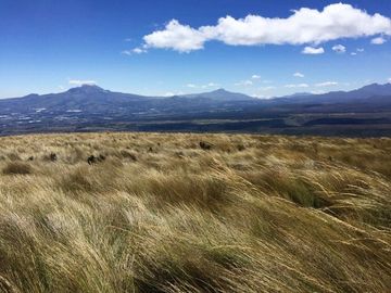 SE VENDE DE OPORTUNIDAD HERMOSA HACIENDA AGRICOLA 678 HAS. LATACUNGA – COTOPAXI – ECUADOR