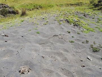 SE VENDE DE OPORTUNIDAD HERMOSA HACIENDA AGRICOLA 678 HAS. LATACUNGA – COTOPAXI – ECUADOR