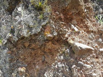 SE VENDE DE OPORTUNIDAD HERMOSA HACIENDA AGRICOLA 678 HAS. LATACUNGA – COTOPAXI – ECUADOR