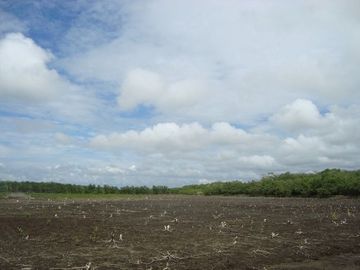 SE VENDE ISLA (BOSQUE PRIMARIO) 2.201 HECTÁREAS,  SAN LORENZO – ESMERALDAS - ECUADOR
