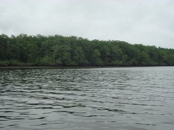 SE VENDE ISLA (BOSQUE PRIMARIO) 2.201 HECTÁREAS,  SAN LORENZO – ESMERALDAS - ECUADOR