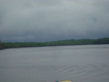 SE VENDE ISLA (BOSQUE PRIMARIO) 2.201 HECTÁREAS,  SAN LORENZO – ESMERALDAS - ECUADOR