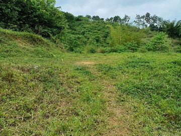 SE VENDE FINCA AGRICOLA 90 HAS.  LOS NARANJOS - QUININDÉ - ESMERALDAS - ECUADOR