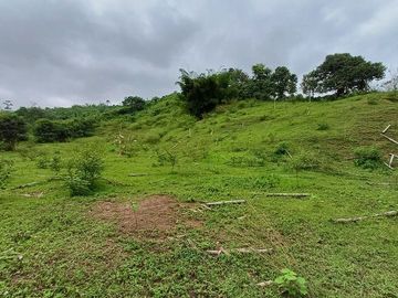 SE VENDE FINCA AGRICOLA 90 HAS.  LOS NARANJOS - QUININDÉ - ESMERALDAS - ECUADOR