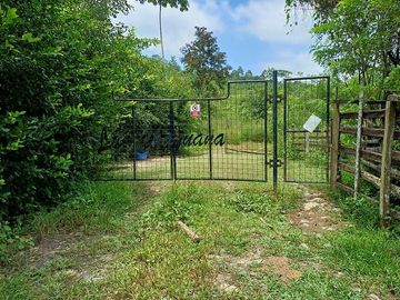 SE VENDE FINCA AGRICOLA 90 HAS.  LOS NARANJOS - QUININDÉ - ESMERALDAS - ECUADOR