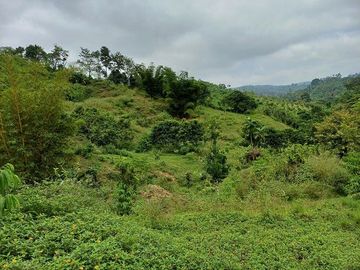 SE VENDE FINCA AGRICOLA 90 HAS.  LOS NARANJOS - QUININDÉ - ESMERALDAS - ECUADOR