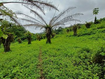 SE VENDE FINCA AGRICOLA 90 HAS.  LOS NARANJOS - QUININDÉ - ESMERALDAS - ECUADOR