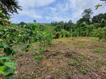 SE VENDE FINCA AGRICOLA 90 HAS.  LOS NARANJOS - QUININDÉ - ESMERALDAS - ECUADOR