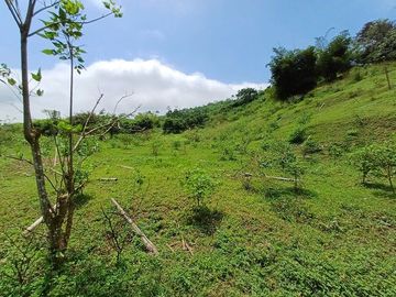 SE VENDE FINCA AGRICOLA 90 HAS.  LOS NARANJOS - QUININDÉ - ESMERALDAS - ECUADOR