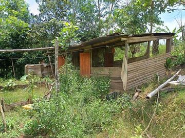 SE VENDE FINCA AGRICOLA 90 HAS.  LOS NARANJOS - QUININDÉ - ESMERALDAS - ECUADOR