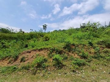 SE VENDE FINCA AGRICOLA 90 HAS.  LOS NARANJOS - QUININDÉ - ESMERALDAS - ECUADOR