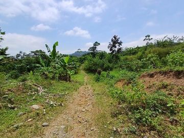 SE VENDE FINCA AGRICOLA 90 HAS.  LOS NARANJOS - QUININDÉ - ESMERALDAS - ECUADOR