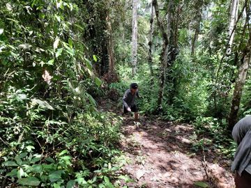 SE VENDE FINCA DE BOSQUE PRIMARIO 252,40 HECTAREAS  EL NARANJAL - GUAYAS - ECUADOR