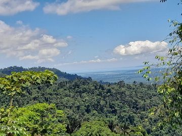 SE VENDE FINCA DE BOSQUE PRIMARIO 252,40 HECTAREAS  EL NARANJAL - GUAYAS - ECUADOR